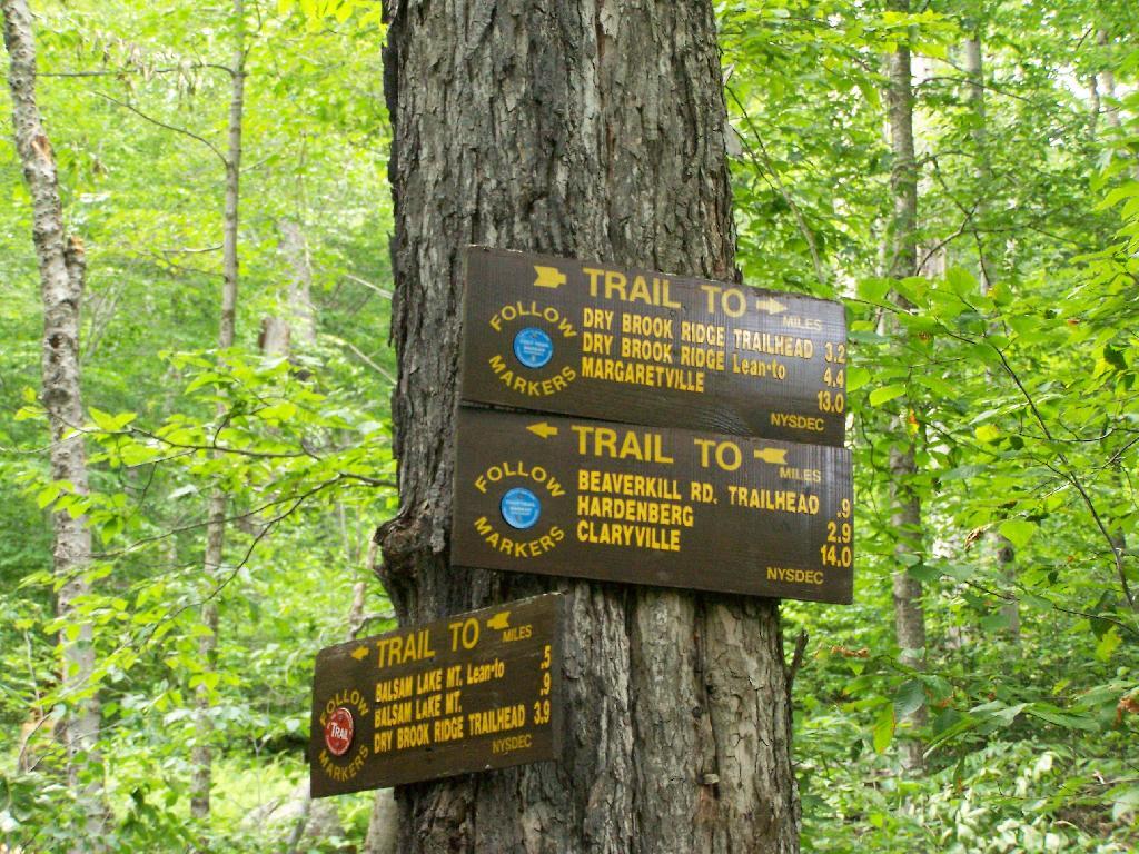 Photo: Trail Back to Dry Book Parking Area Photo: Trail Back to Dry Book Parking Area