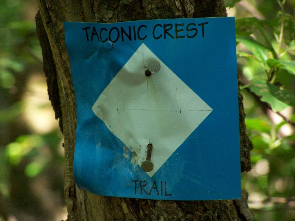 Photo: Taconic Crest Trail Photo: Taconic Crest Trail