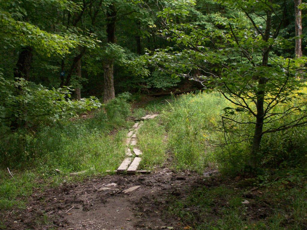 Photo: Muddy Area Photo: Muddy Area