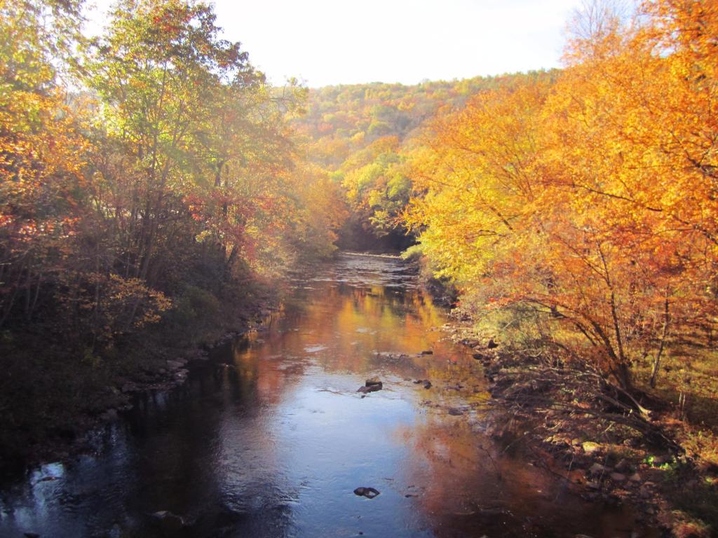Photo: Spring Creek in Hallton