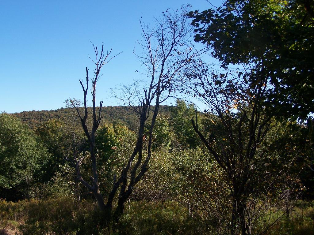 Photo: Second Peak of Harmon Photo: Second Peak of Harmon