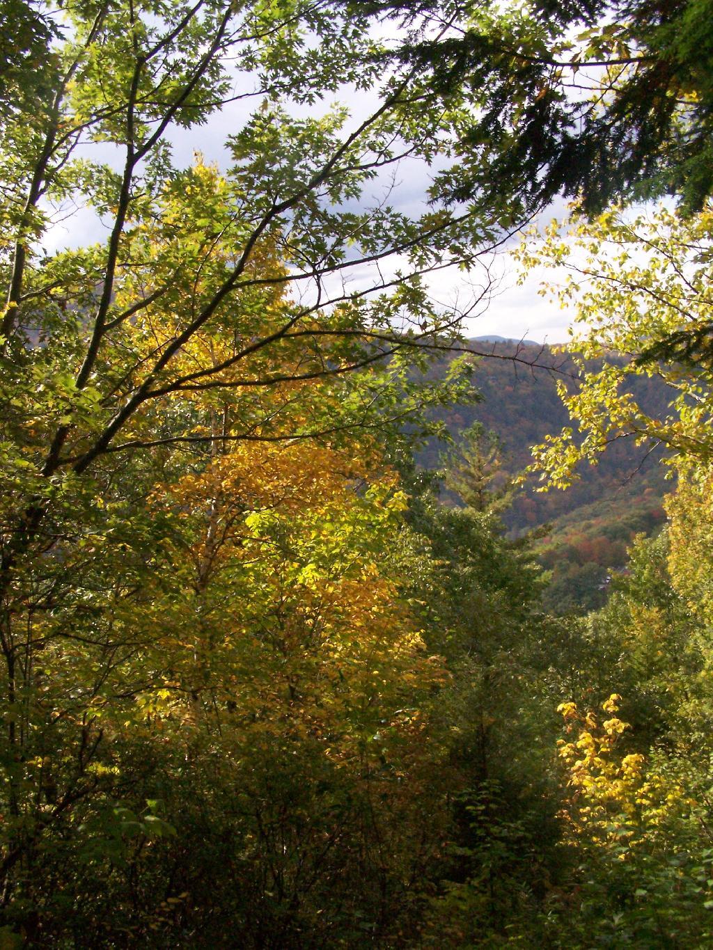 Photo: Fall's Colors Photo: Fall's Colors