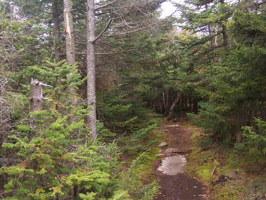 Photo: Top of Indian Head