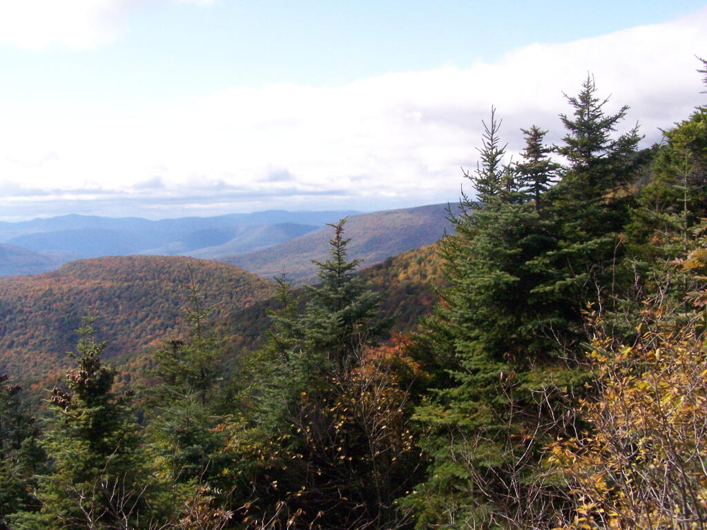Photo: Looking West