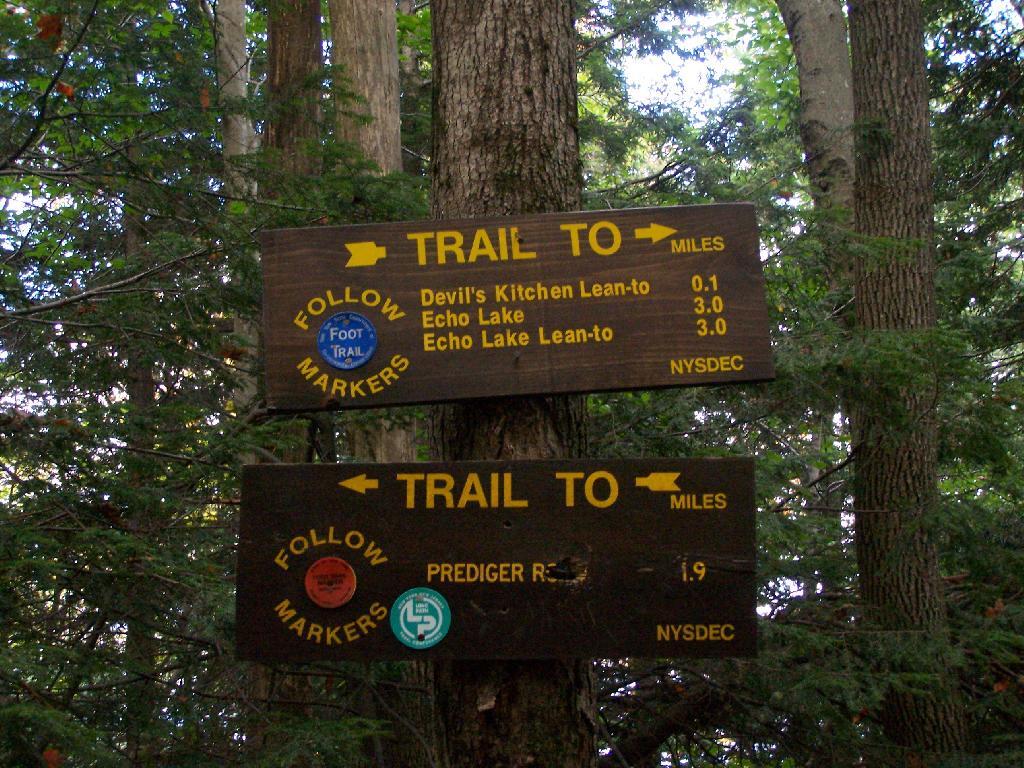 Photo: Escarptment Trail at Devil's Path