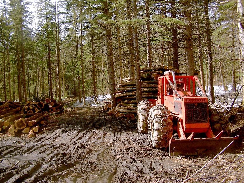 Photo: Timberjack Skidder