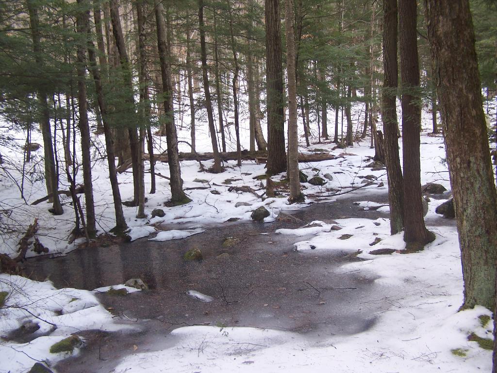 Photo: Icy Patch