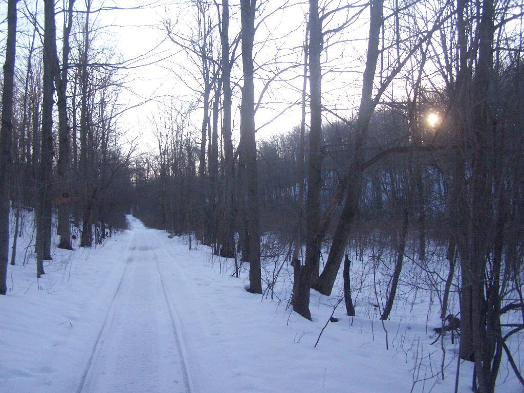 Photo: Setting Sun