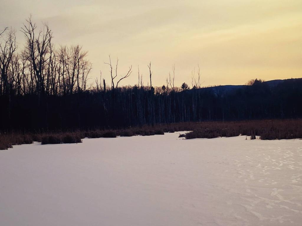 Photo: Winter Afternoon on the Black Creek Photo: Winter Afternoon on the Black Creek