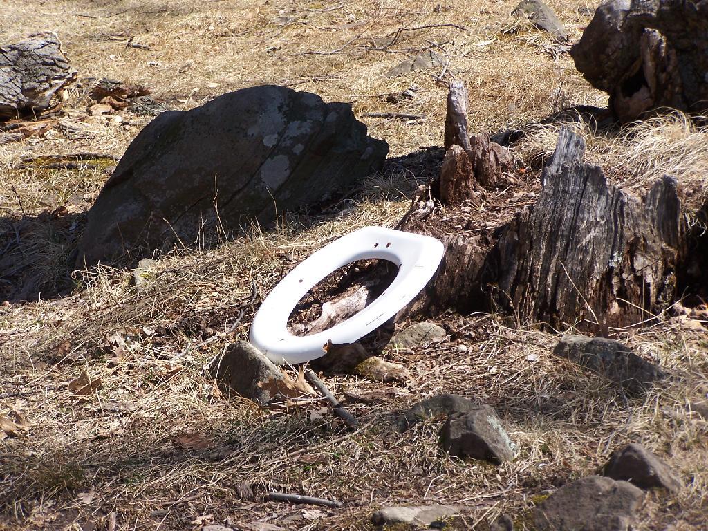 Photo: Toilet Seat