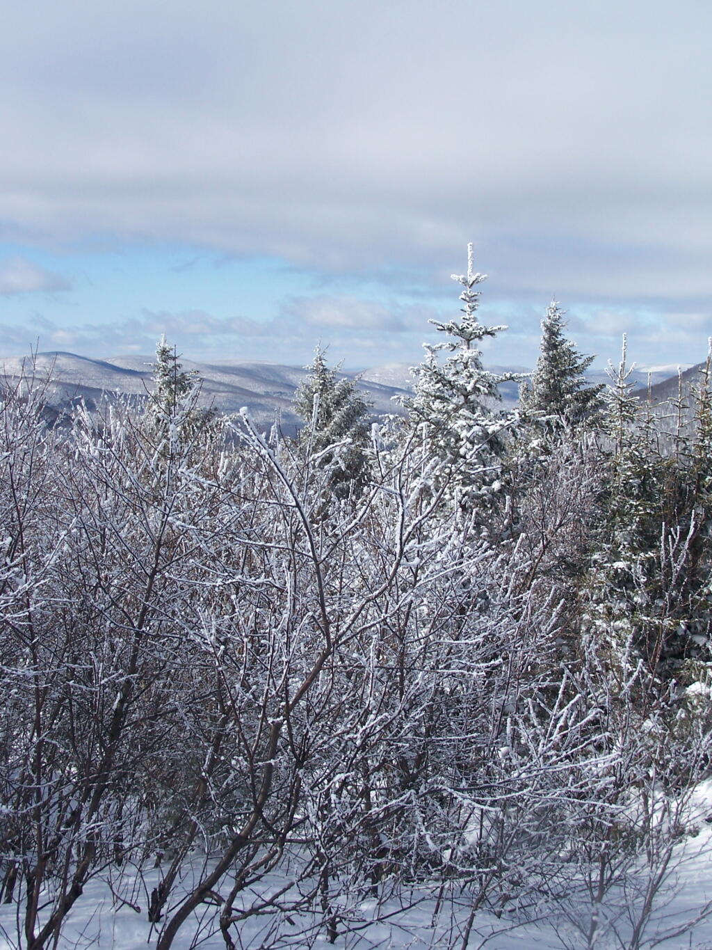 Photo: West Kill Valley from John Robb Leanto