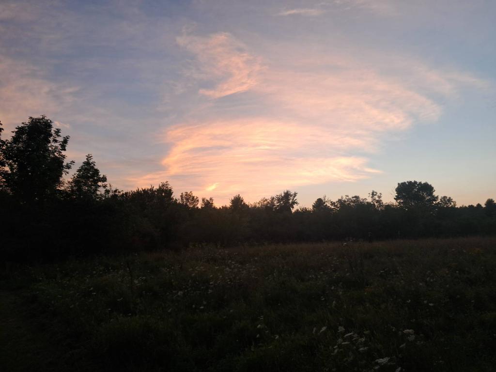 Photo: Sunset [Expires September 2 2026]