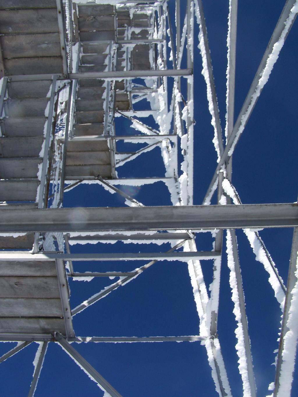 Photo: Up the Tower