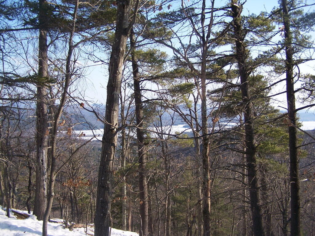 Photo: Continuing Up the Mountain