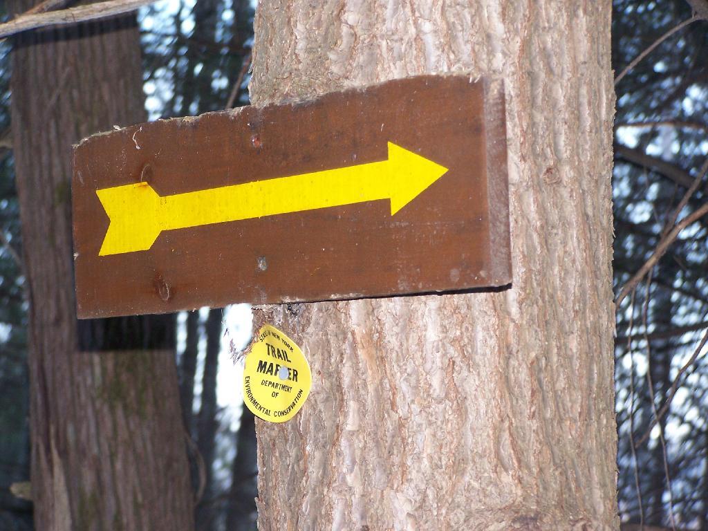 Photo: Trail Turns