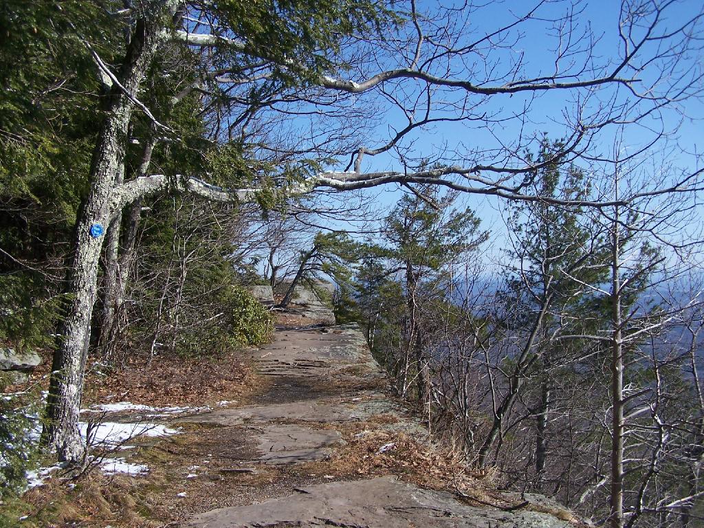 Photo: Along the Edge Towards Artist's Rock Photo: Along the Edge Towards Artist's Rock