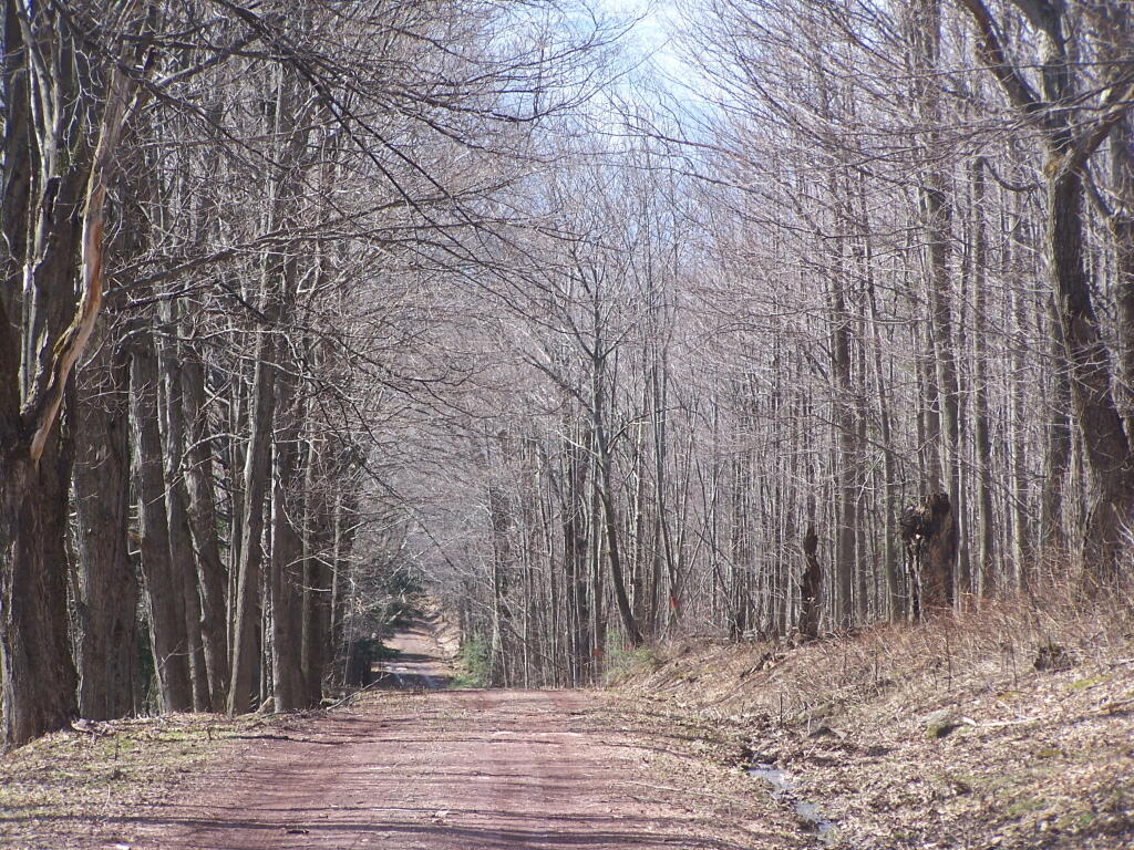 Photo: Huntersfield Road Photo: Huntersfield Road