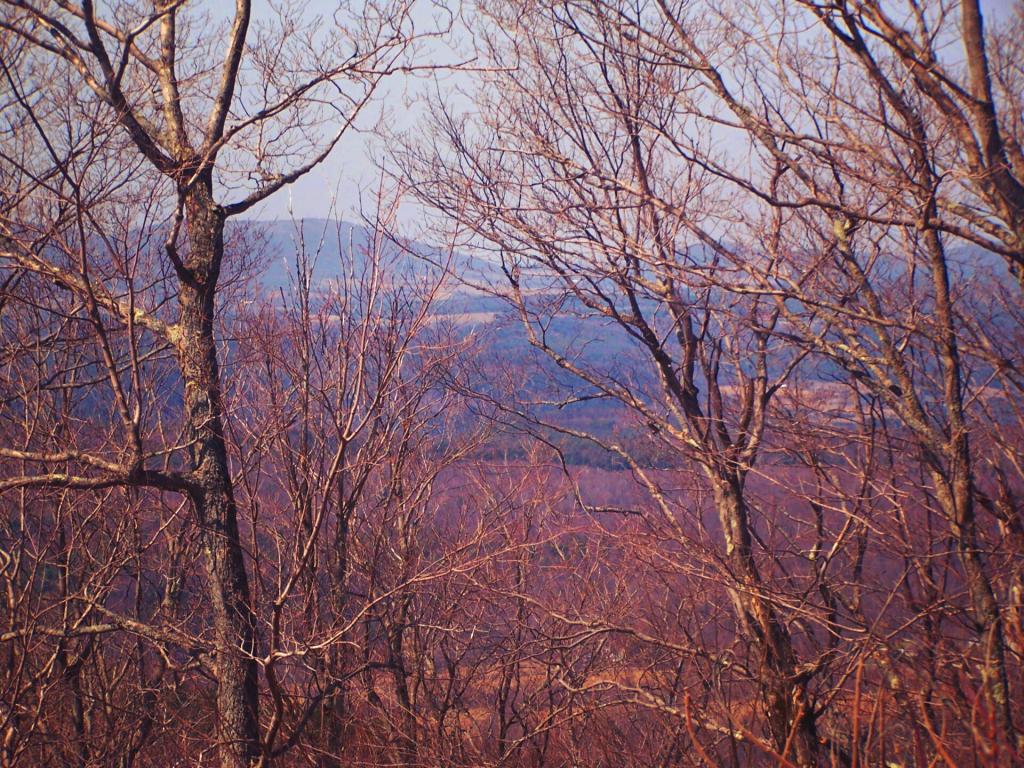 Photo: Towards Grand Gorge Photo: Towards Grand Gorge