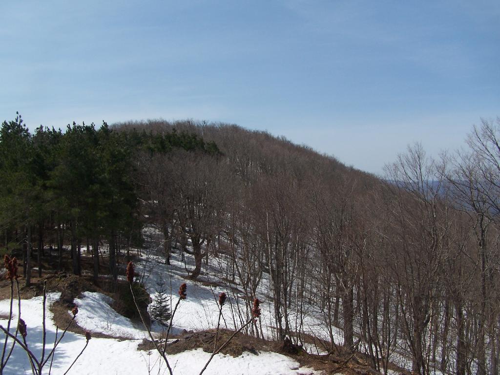 Photo: Ridge Photo: Ridge