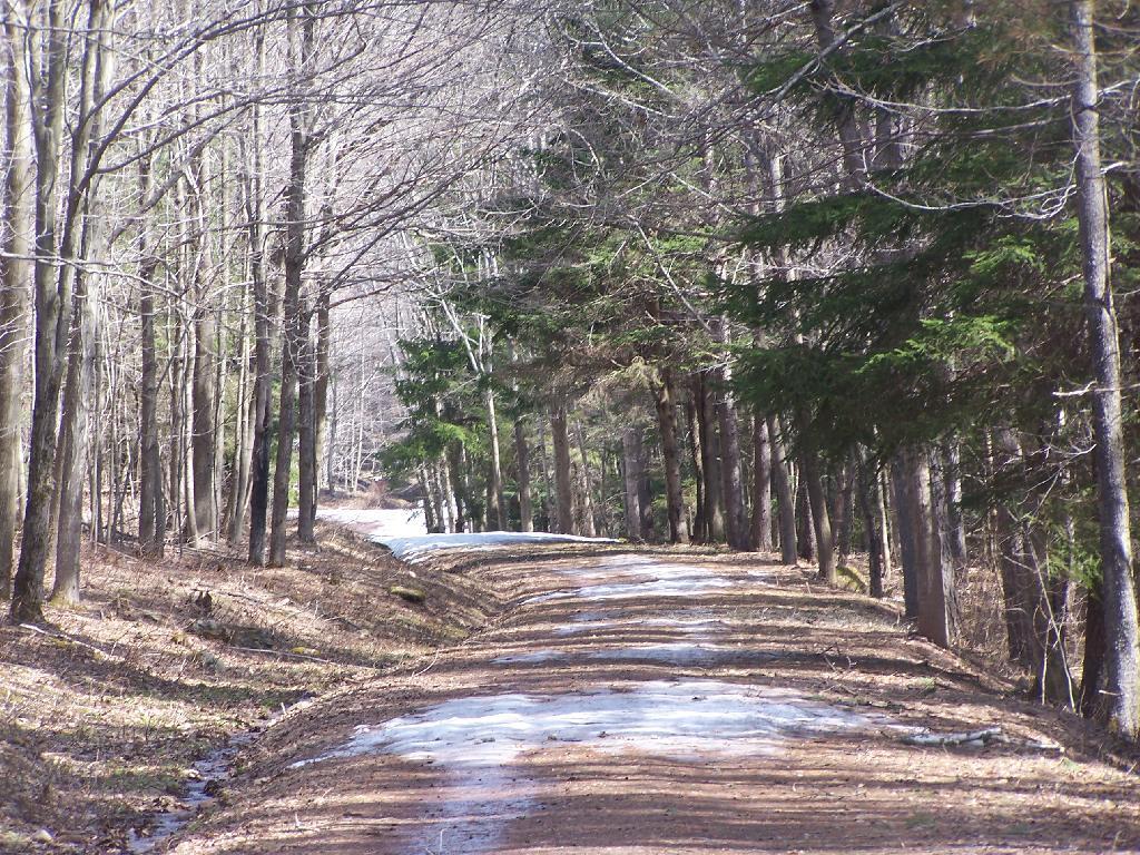 Photo: Ice and Snow Covered Truck Trail Photo: Ice and Snow Covered Truck Trail