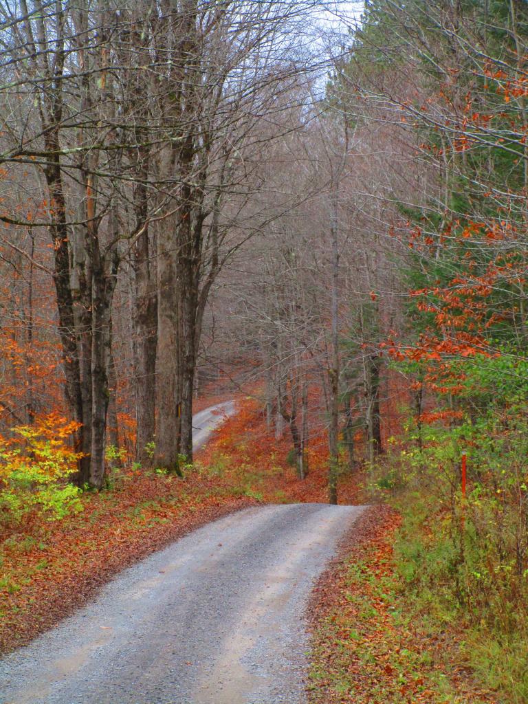 Photo: Windy Road Photo: Windy Road