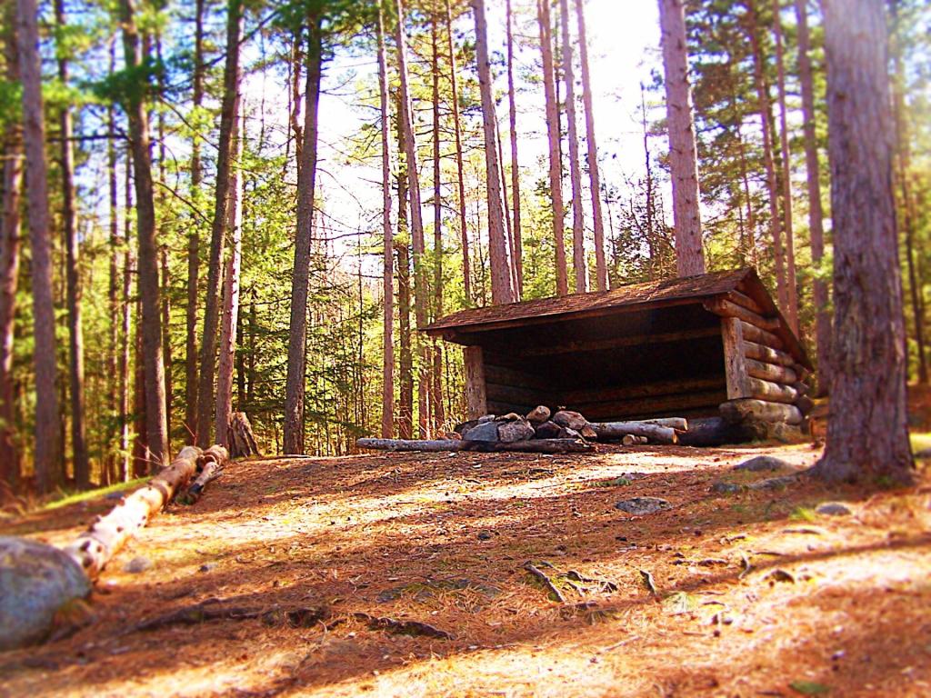 Photo: Oxbow Pond LeanTo