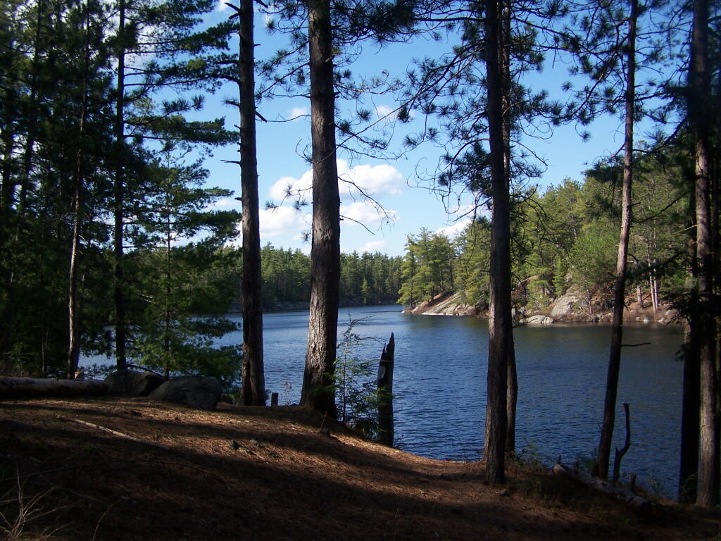 Photo: Oxbow Through Trees
