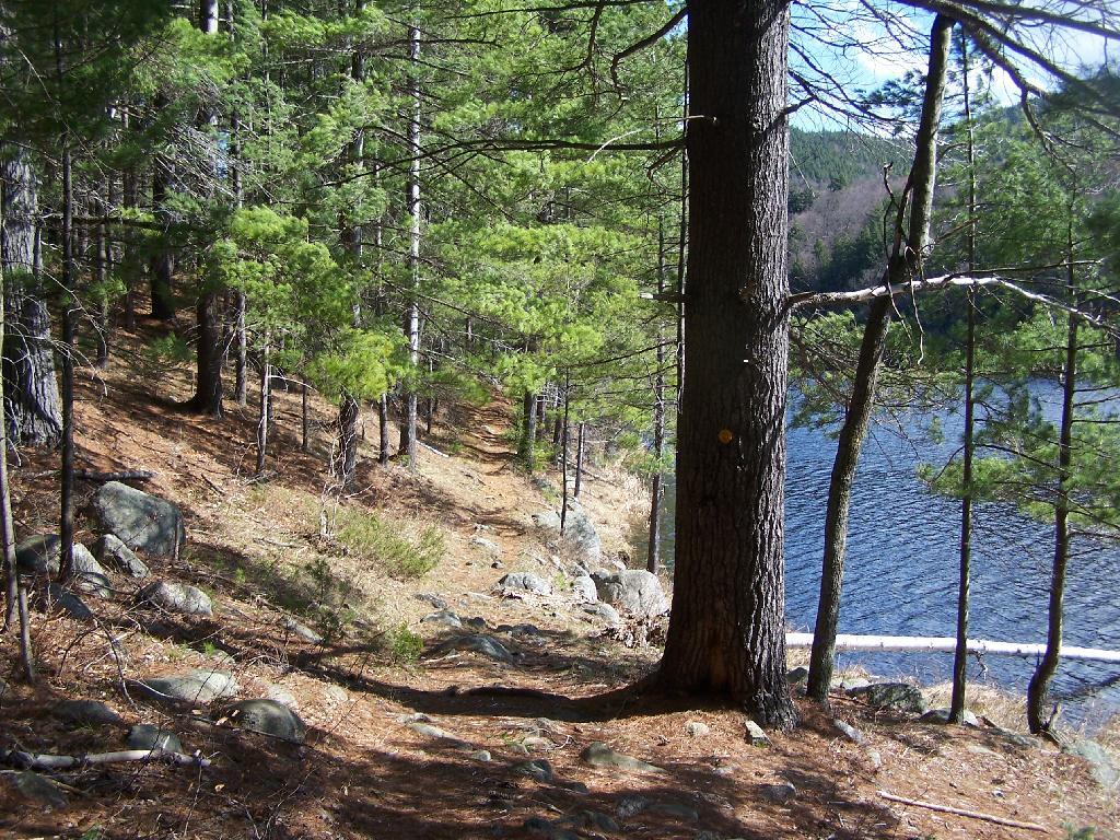 Photo: Along Long Swing Trail at Glidden Marsh