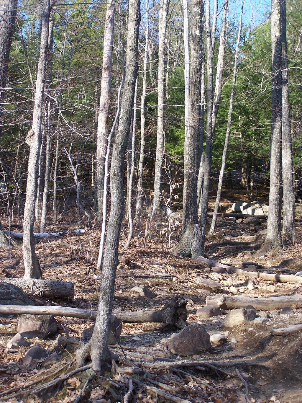 Photo: Last Climb on Severance Hill