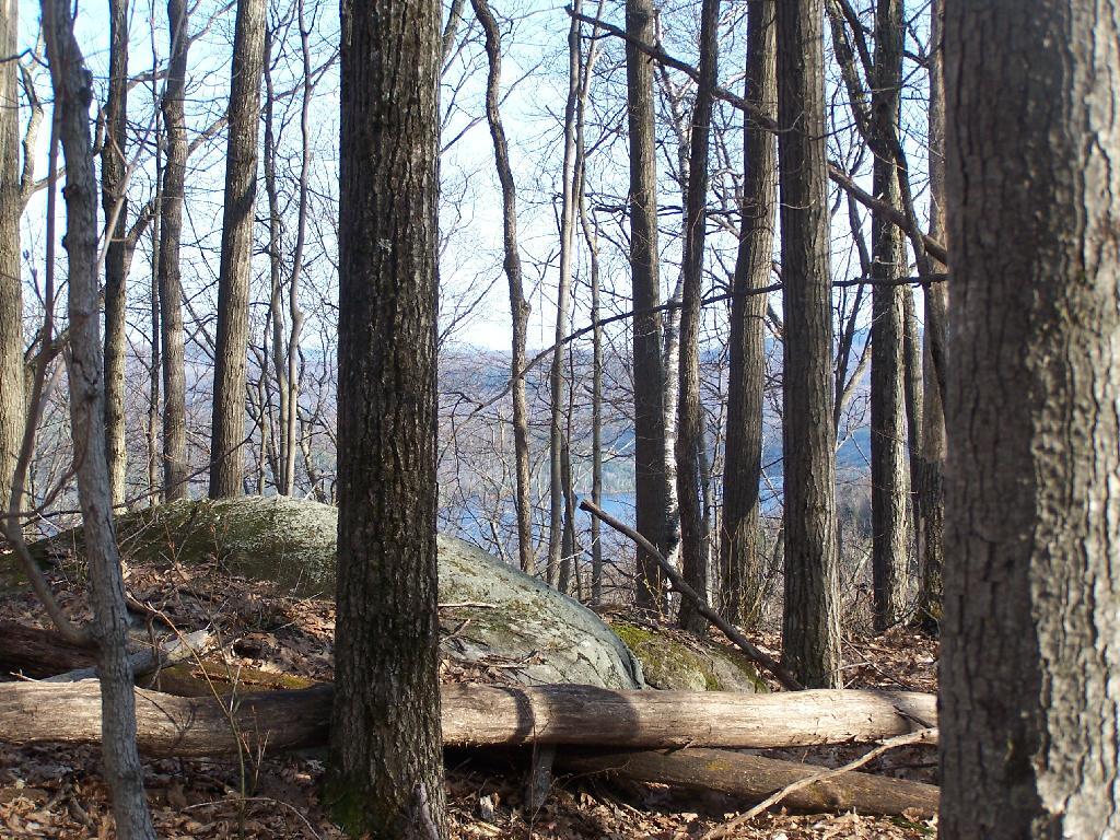 Photo: Schroon Thru The Trees