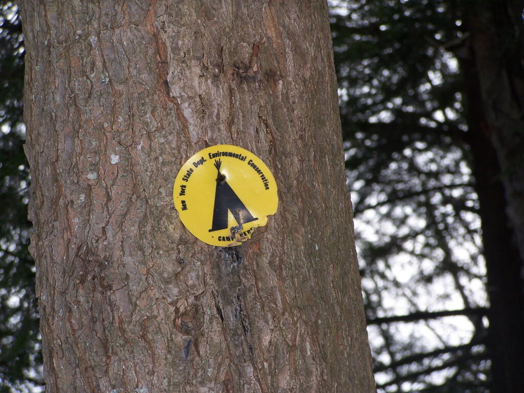 Photo: Designated Campsite Along Good Luck Lake Photo: Designated Campsite Along Good Luck Lake