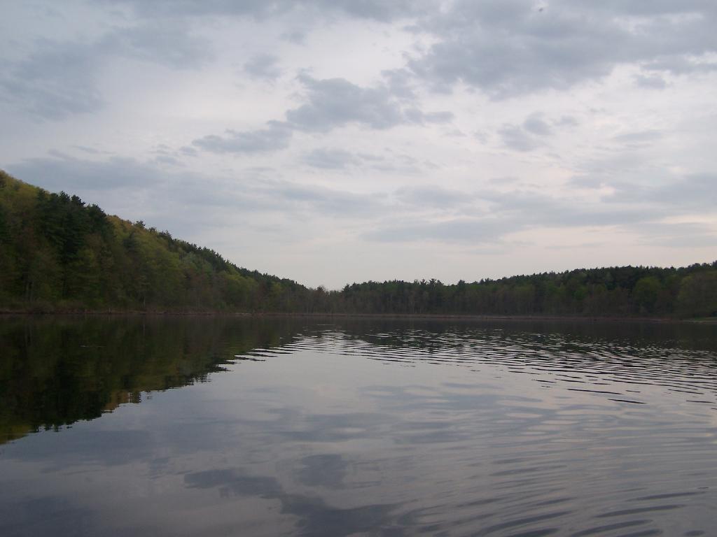 Photo: The Lake in Evening