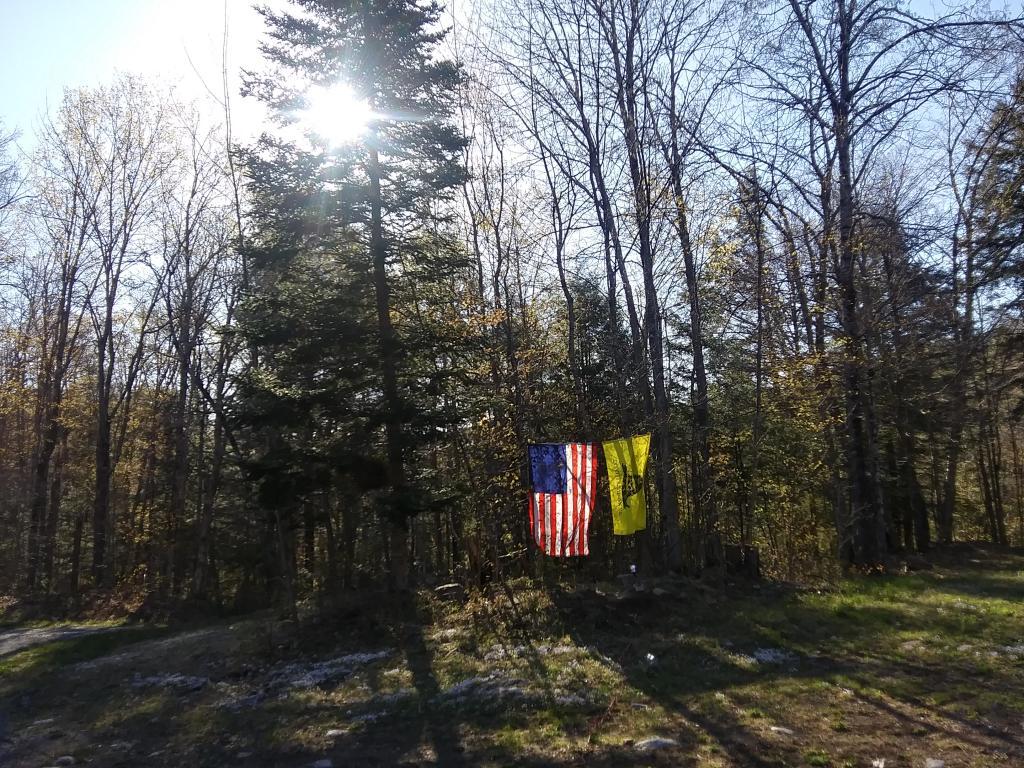 Photo: Nice morning but crisp Photo: Nice morning but crisp