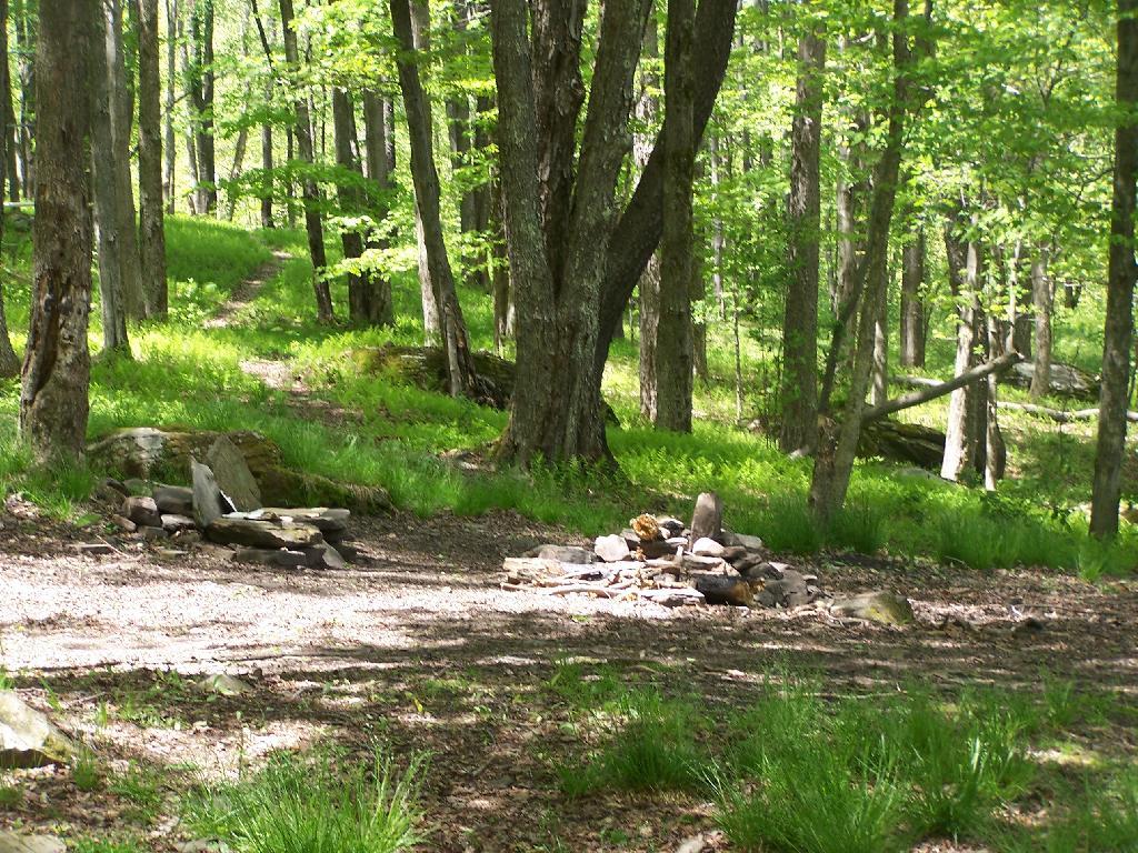 Photo: Primative Campsite 1 Photo: Primative Campsite 1