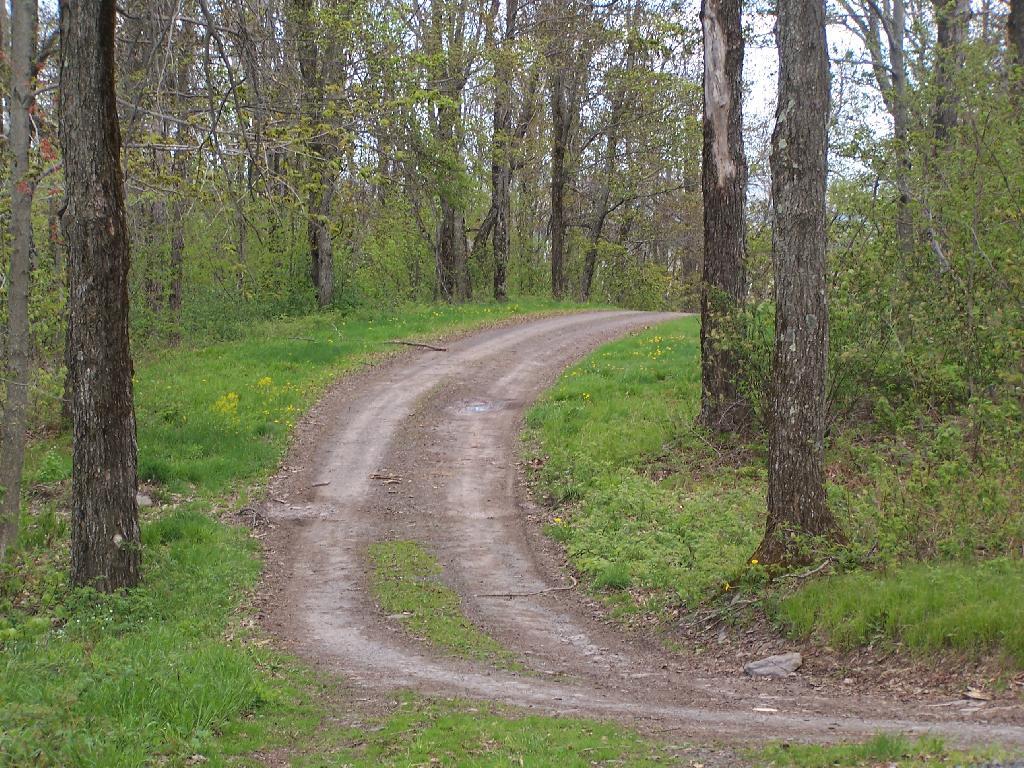Photo: Truck Trail