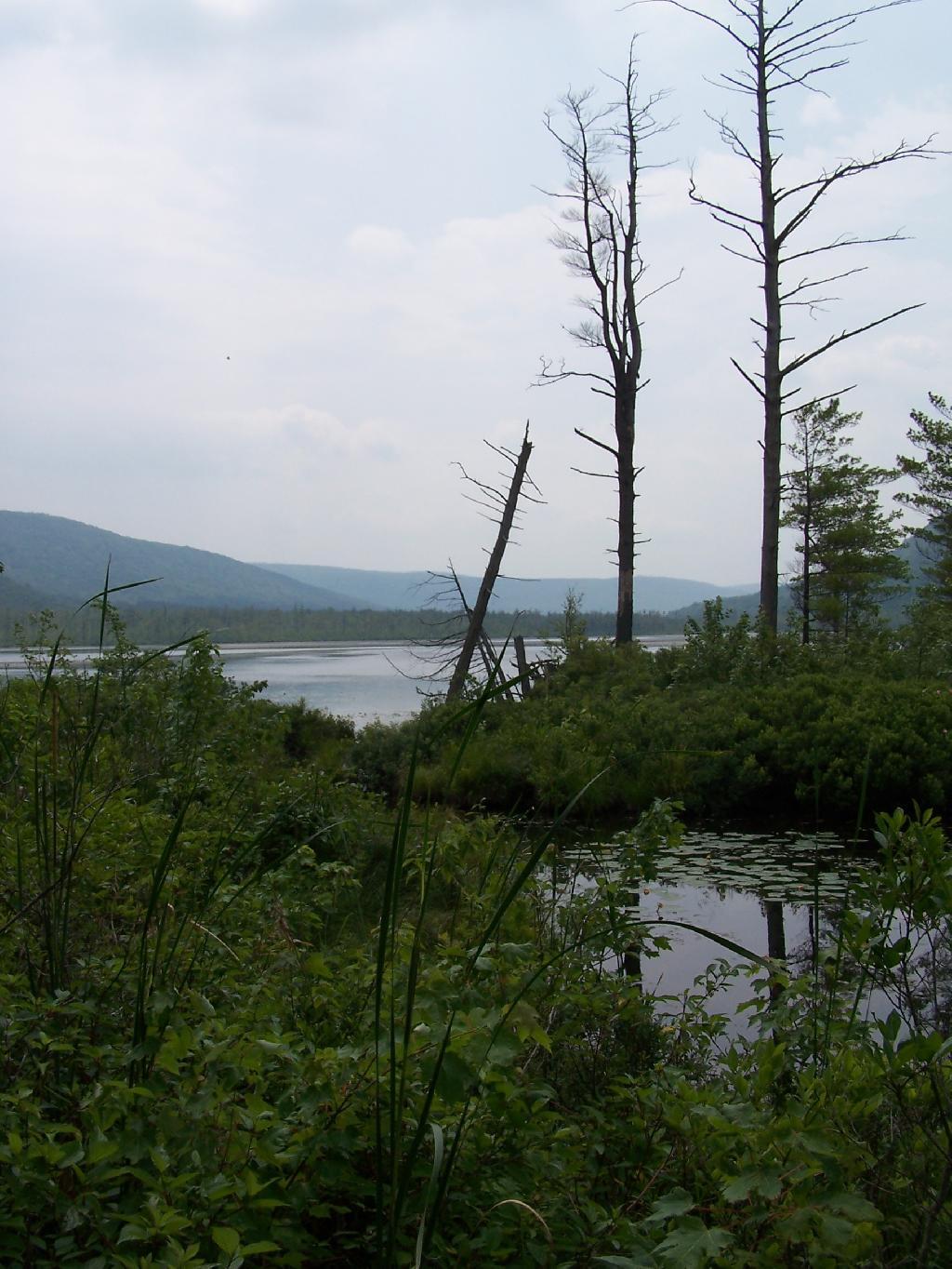 Photo: Labrador Pond