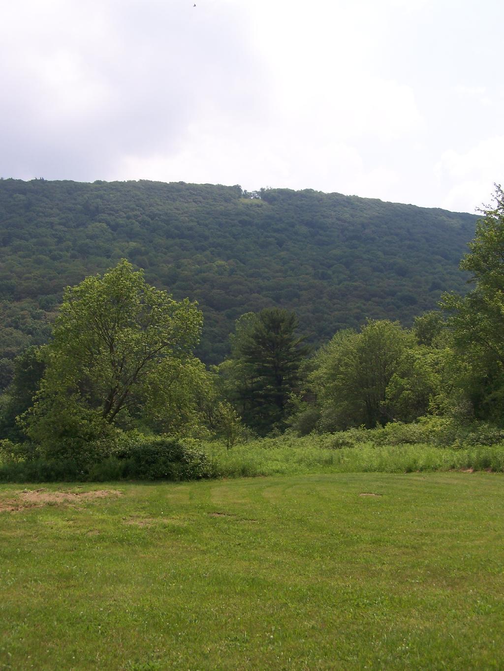 Photo: Jones Hill Hang Glider Clearing