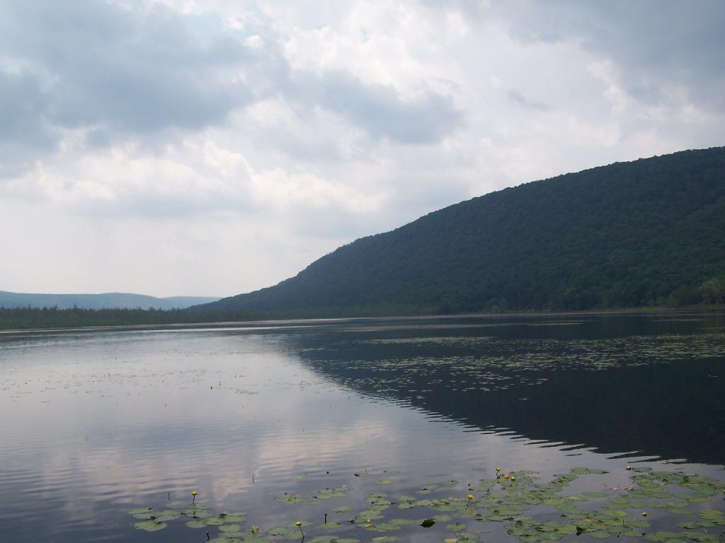Photo: Jones Hill Reflection