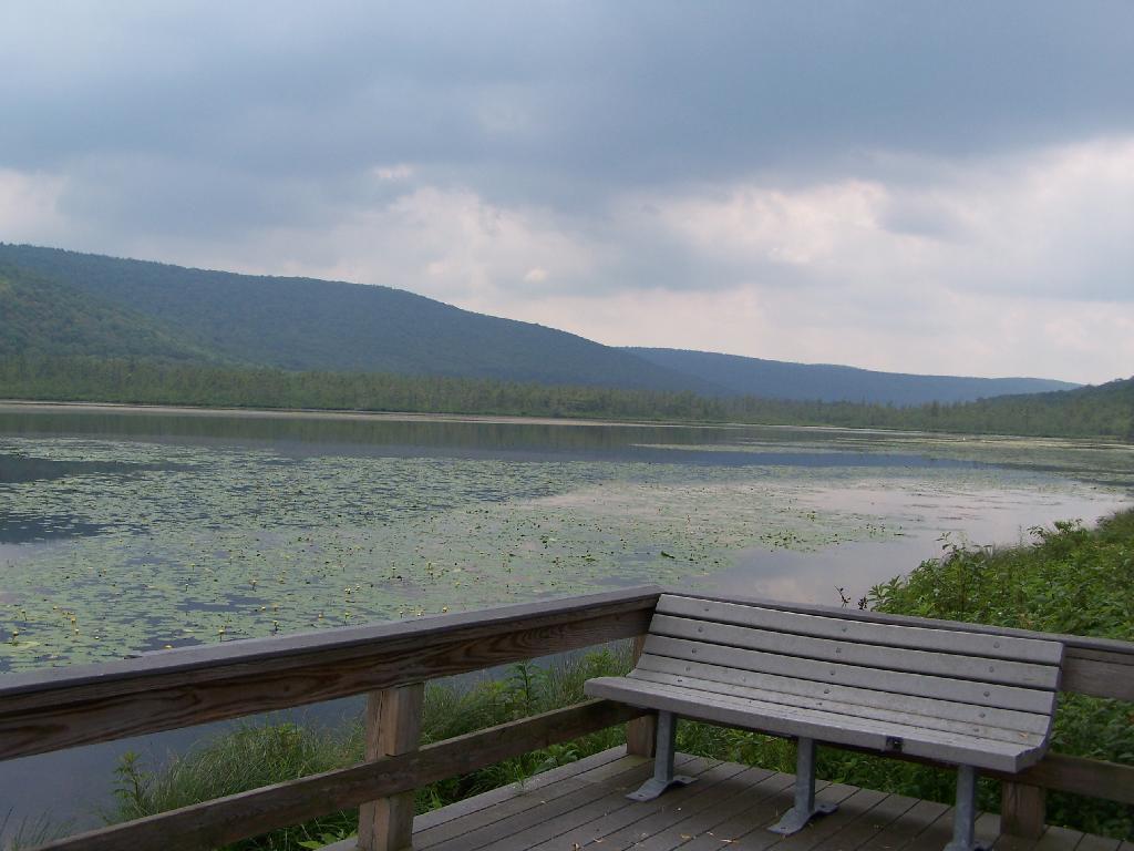 Photo: Bench on Pond's Edge