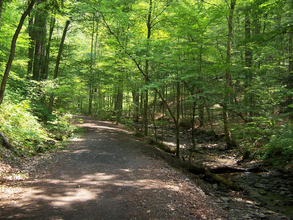 Photo: Tinker Falls Trail