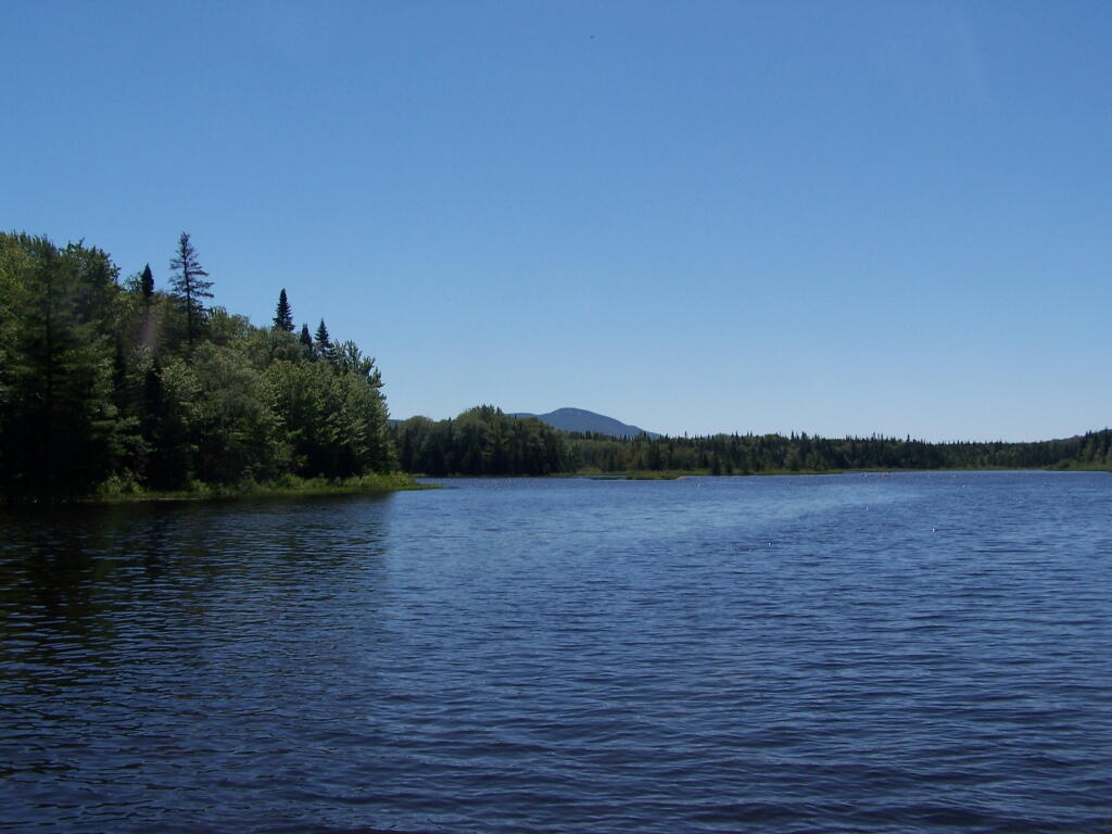 Photo: Cedar River Flow