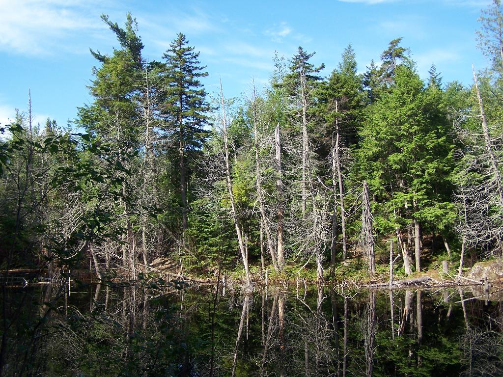 Photo: Southern End of Washbowl Photo: Southern End of Washbowl