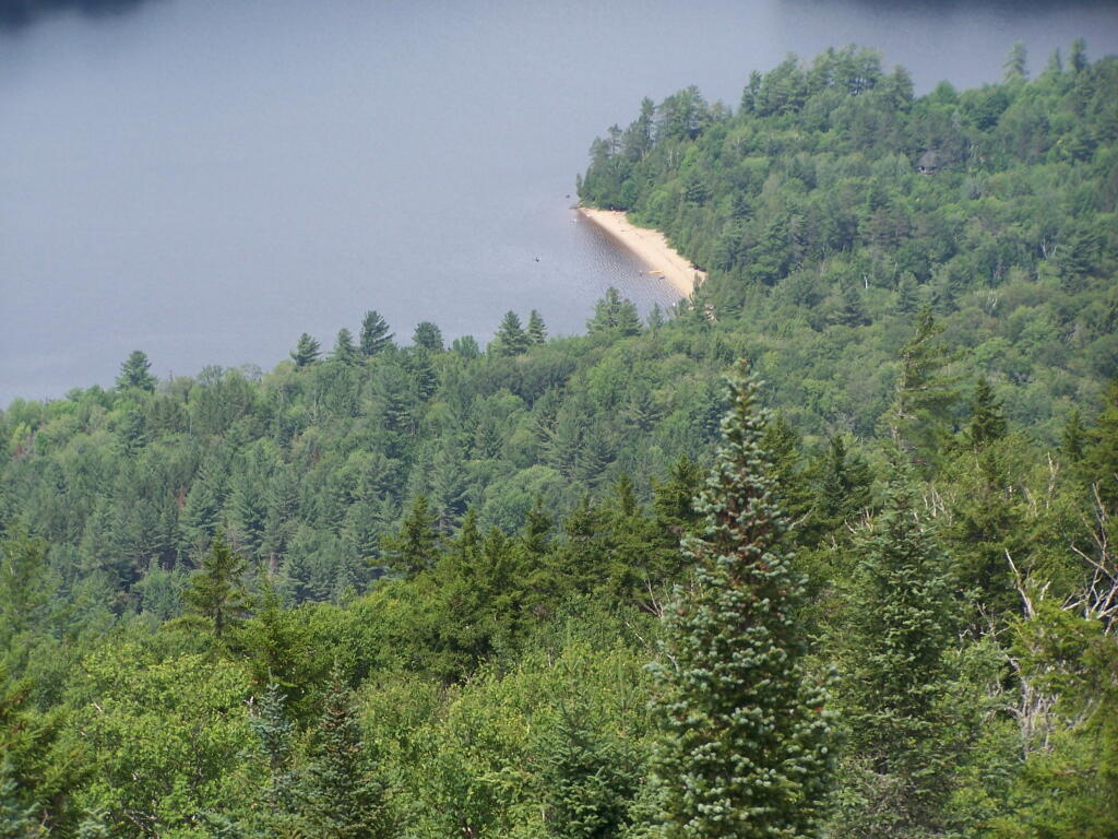Photo: Edge of Rich Lake Photo: Edge of Rich Lake