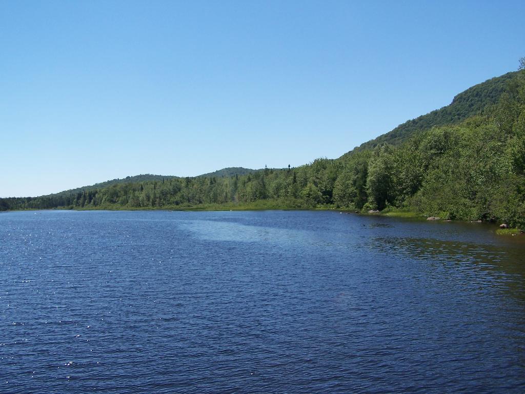 Photo: Edge of Cedar River Flow