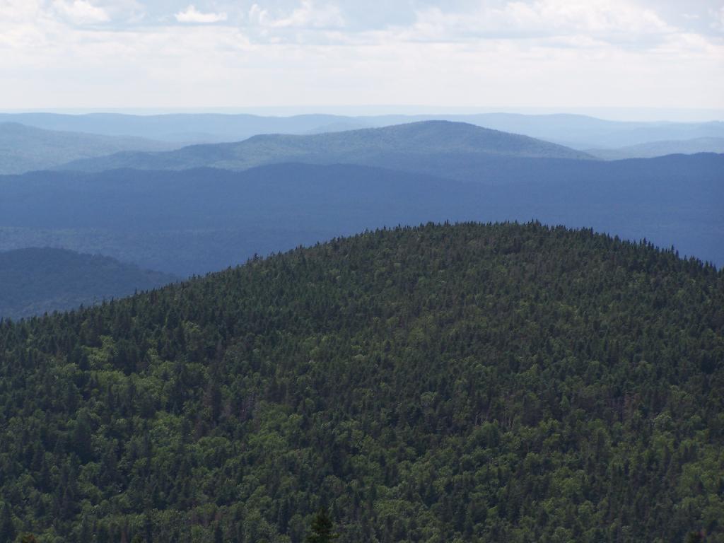 Photo: Cellar Mountain
