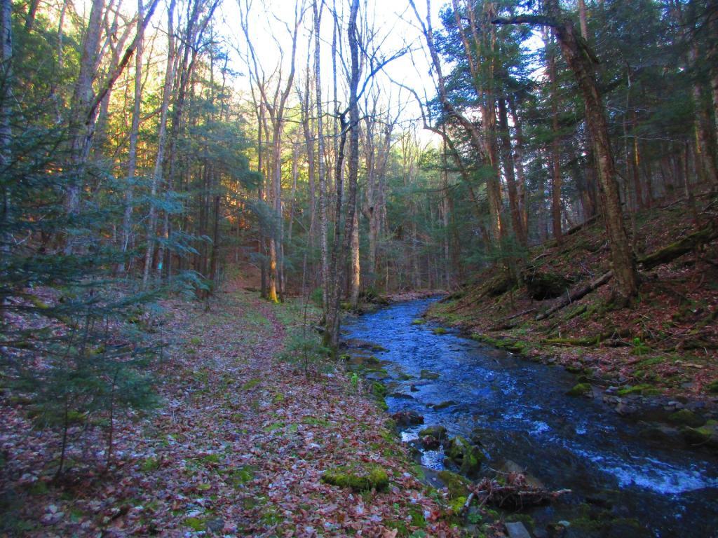 Photo: Cole Brook