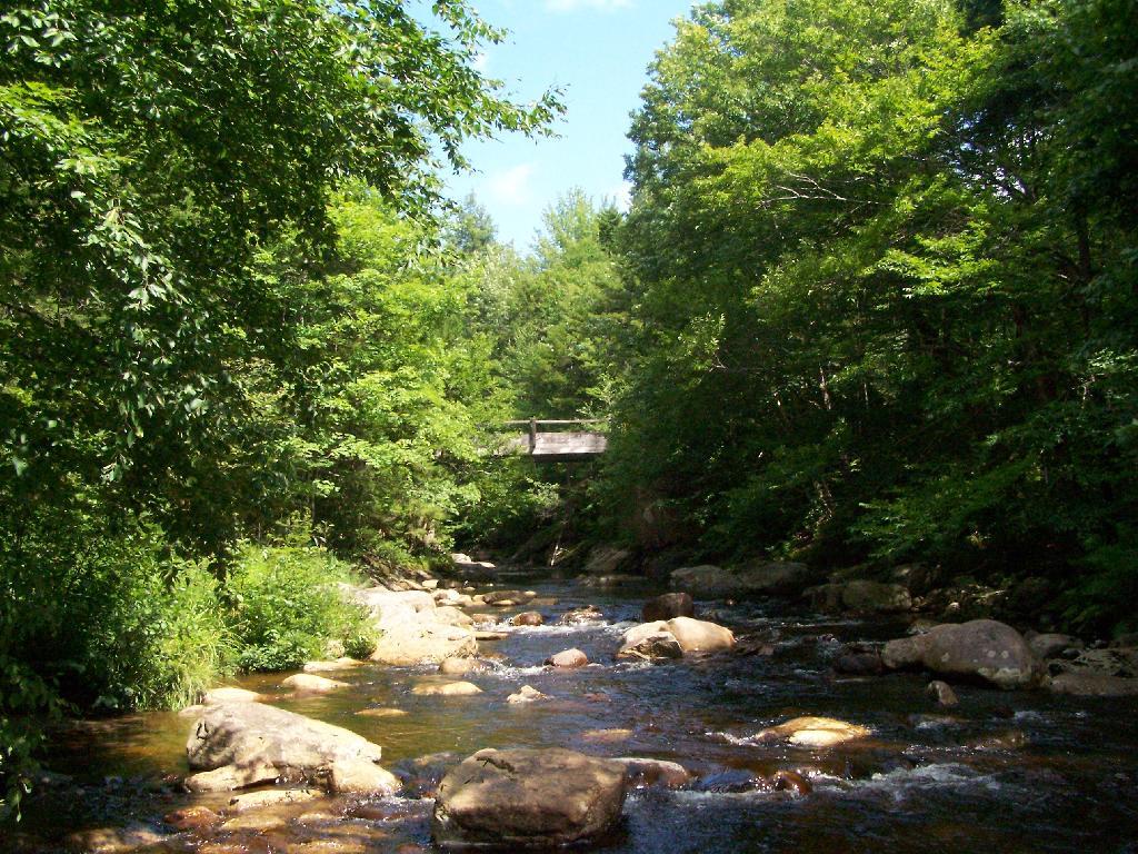 Photo: Otter Brook Bridge