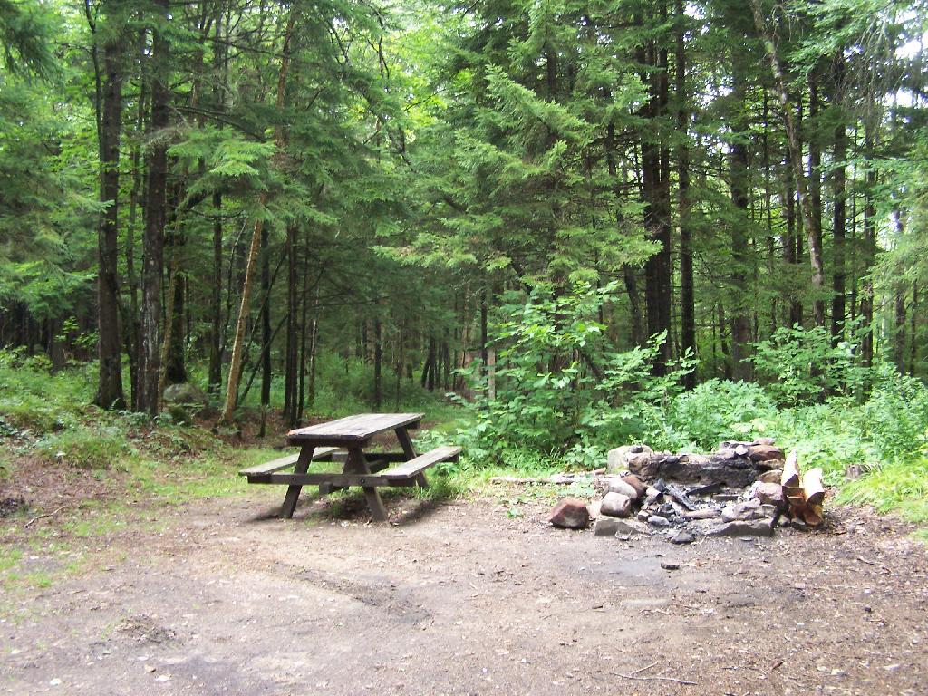 Photo: Campsite on Moose River Plains road