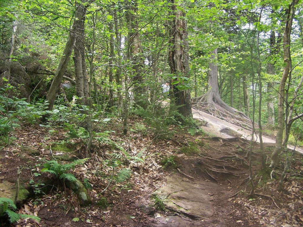 Photo: Hiking Up Bald Mountain