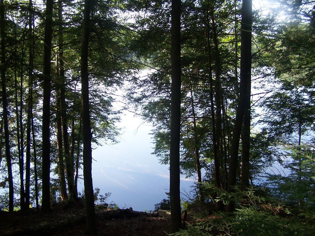 Photo: Mason Lake
